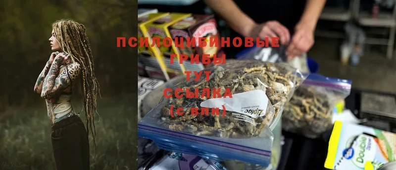 Псилоцибиновые грибы GOLDEN TEACHER Тюмень